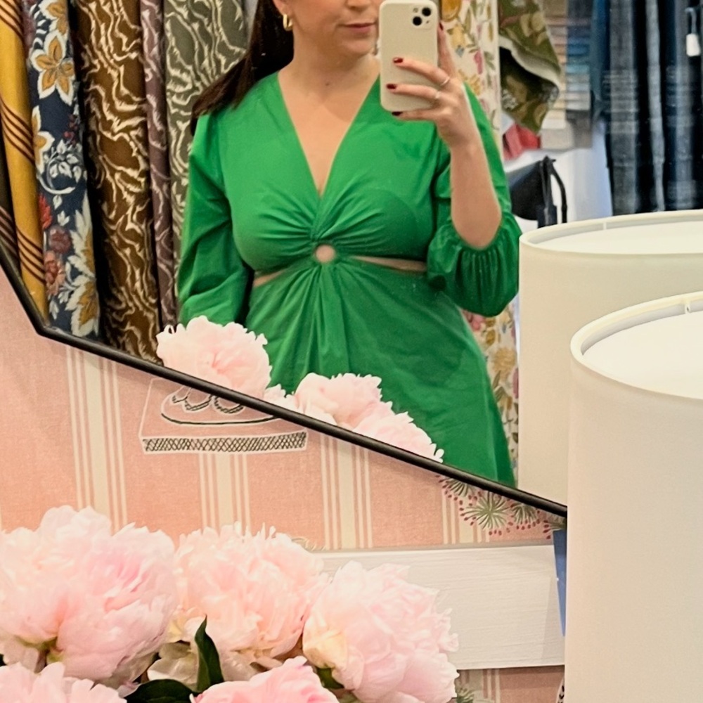 House of Harlow 1960 Green Top